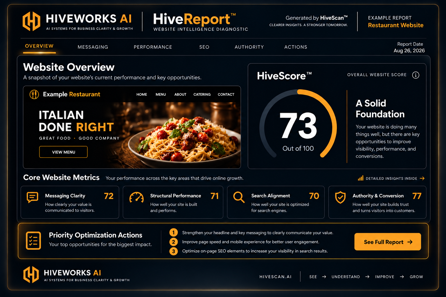 Sample HiveReport Website Intelligence Diagnostic Report